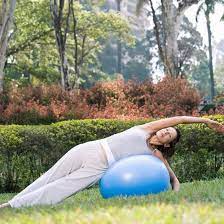 Cow Stretch Ball Exercises Exercise Stability Ball Exercises