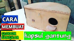 Cara lainnya yang dapat anda terapkan untuk ternak lovebird yaitu memasukkan ke dalam kandang yang besar dengan lima pasangan. Cara Mudah Membuat Glodok Untuk Sangkar Kapsul Youtube