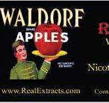 Fruit Tobacco Flavors