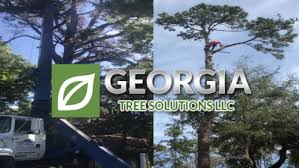 Garden mulch employed properly will cut down on weeds and erosion. Tree Service In Savannah Ga Now Offers Crane Assisted Tree Removal Services