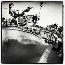 Gator Frontside