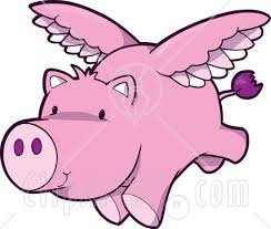 Imagini pentru flying pigs png