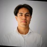 200+ perfiles de «Morado»