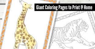 You can use our amazing online tool to color and edit the following bible coloring pages for adults. Free Printable Jumbo Coloring Pages Giraffe Tiger Kids Activities Blog