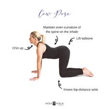 Pin On Beginner Yoga Posture Breakdowns