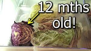 How long do cooked cabbage rolls last at room temperature? One Year Old Cabbage Stored In Crisper Home Grown Long Term Storage Organic Youtube