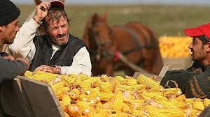 Pentru înfiinţarea registrului, persoanele care apelează la zilieri trebuie să obţină numele de utilizator şi parola de la inspectoratul teritorial de muncă de mâine (sâmbătă, n.r.) devine funcţională, după ce am pus la punct ultimele detalii, aplicaţia inspecţia muncii care include registrul electronic de. InspecÈia Muncii EvidenÈa In Registrul Electronic De EvidenÈÄ A Zilierilor A Devenit Obligatorie