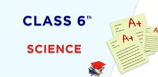 Do you know the secrets of sewing? Science Quiz For Class 6 With Answers Proprofs Quiz