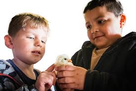 Petracek honored for 50 years of service to CVFD