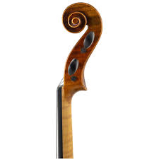 Image result for Viola