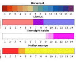 Phenolphthalein Indicator Color Chart Bedowntowndaytona Com