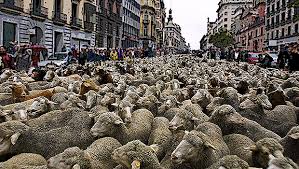 El Radio » El populacho vil. El Radio 540