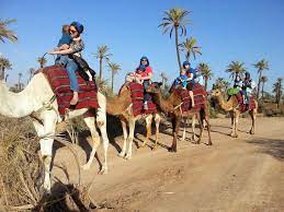 Guided camel ride through marrakesh's palm grove. Camel Ride Tour In Marrakech Palm Grove Morocco Desert Expeditions