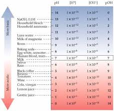 Drawing Table Of Ph Scale Saferbrowser Yahoo Image Search Results Household Bleach Lime Water Science For Kids
