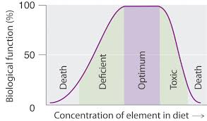 Essential Elements For Life