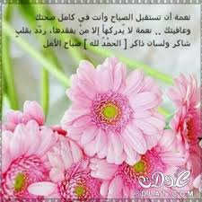 صور صباح الخير 2019 احلى صور صباح الخير والسعادة Good Morning Cards صباح الخير للفيس Plants