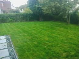 Beautiful Tapis Fausse Herbe Sidewalk Structures
