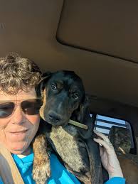 Great American Hound Pup Giveaway!