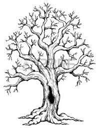 Risultati Immagini Per Alberi Stilizzati Alberi Di Disegno Disegni Di Alberi Simboli Celtici