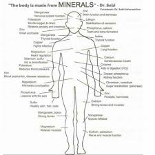Dr Sebi This Body Is Made From Minerals Rasta Livewire