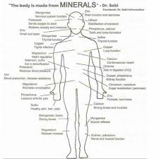 dr sebi this body is made from minerals rasta livewire