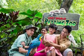 The lost world of tambun is run by the sunway group, the same people who operate sunway lagoon, and it shows the same high standards and professional look. Airasia Activities Lost World Of Tambun Amusement And Water Park