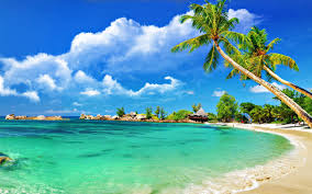 With the increase of video conferencing, remote working and social distancing, many users are looking for interesting free zoom virtual backgrounds including tropical beach, so we came to offer several attractive tropical beach zoom virtual backgrounds to take pleasure in soothing holiday feelings while making video. Tropical Beach Scenery Wallpapers Top Free Tropical Beach Scenery Backgrounds Wallpaperaccess