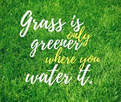 Grass is greener where you water it close. Grass Is Only Greener Where You Water It Quote Wednesdaywisdom Inspirational Quotes Neon Signs Wednesday Wisdom