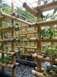 Bamboo Hydroponics The Plants Planted In The Bamboo Hydroponie Jardins Jardinage Hydroponique Et Potager