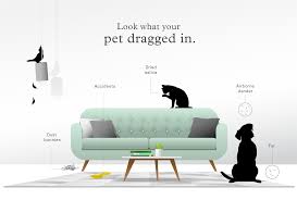 All parrots give off a dander known as feather dust. The Big Guide To Air Purifiers For Pet Owners Molekule Blog