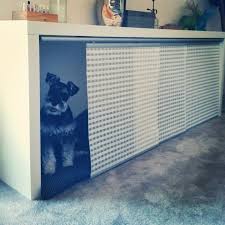 Pin On Hunde