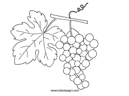 Grappolo Di Uva Da Colorare Per Bambini Tuttodisegni Com Colori Le Idee Della Scuola Disegni Da Colorare
