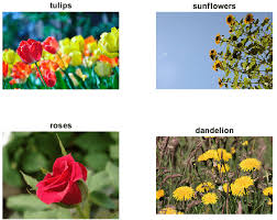 Flowers that start with vowels. Data Sets For Deep Learning Matlab Simulink