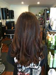 Schwarzkopf Igora Royal Mettalics 7 19 Highlights With 5 29 Base Hair Color Wheel Hair Color Chocolate Hair Techniques