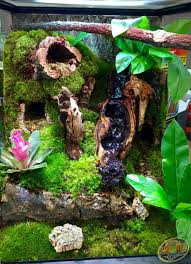 Diy This Terrarium Zoo Med Cork Flats Can Be Used To Create Holding Wall For Substrate To Build I Gecko Terrarium Crested Gecko Habitat Crested Gecko Vivarium