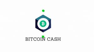 So, is bitcoin cash a good investment? My Bch And Investment
