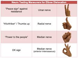 Image result for Elbow Exam