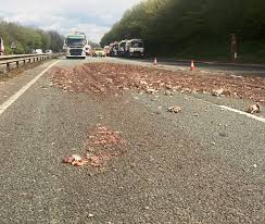 We did not find results for: A14 Likely To Remain Shut For Several Hours After Lorry Sheds Load Of Offal Hfm