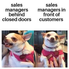Sales Memes Solofire S 20 Best Sales Memes Of 2020 Solofire Written by aja frost @ajavuu. solofire s 20 best sales memes of 2020
