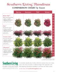 Plant Comparison Charts Southern Living Plants