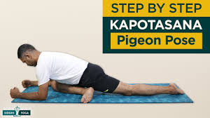 Kapotasana Pigeon Pose How To Do Step By Step For Beginners With Benefits And Precautions Youtube