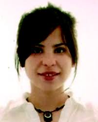 Synergy effects of magnetic silica nanostructures for drug delivery  applications