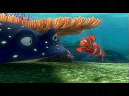 So, coral, when you said you wanted an ocean view, you didn't think that we we're gonna get the whole ocean. Nemo Swimming Out To Sea Dv Youtube