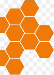 Hexagon Vector Png Geometric Shapes Png Transparent Clipart Image And Psd File For Free Download Hexagon Vector Hexagon Geometric Shapes
