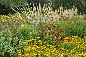 Hermannshof Garden Plants