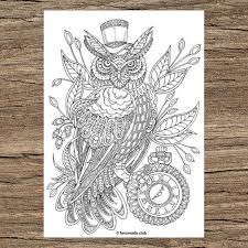 Printable coloring pages from artist hanna lynn. Steampunk Owl Printable Adult Coloring Page From Favoreads Coloring Book Pages For Adults And Kids Coloring Sheets Coloring Designs By Anastasia The Owl Pages