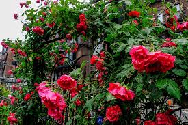 Plus my featured cottage of the month home tours from my sweet friends! Six Garden Tours In New England To Check Out This Summer