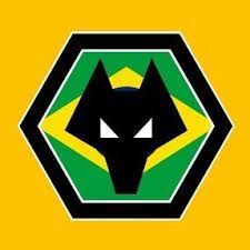 @wolvesespanol 🇪🇸 | 🇵🇹 @wolvesprt. Wolverhampton Brasil De Wolvesbrasil Twitter