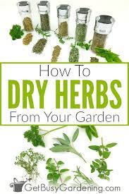 How To Dry Herbs The Right Way 6 Different Methods In 2020 Drying Herbs Herbs How To Dry Oregano