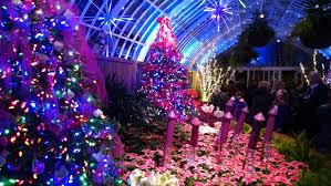 Image result for christmas the wonder of it all